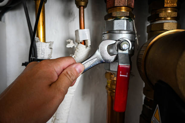 Best Local Plumber Services  in Princeton Meadows, NJ
